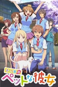  Кошечка из Сакурасо (2012) 